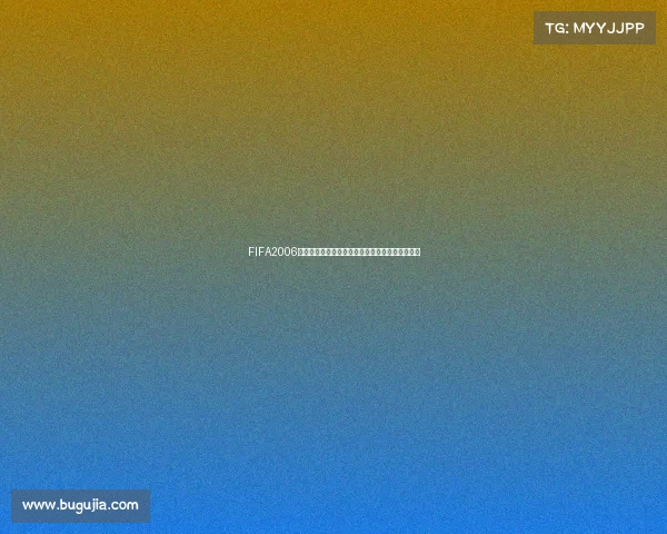 FIFA2006世界杯光盘启动体验绿茵经典记忆重现的游戏回顾